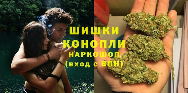 spice Алексин