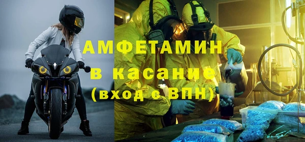 PSILOCYBIN Алзамай