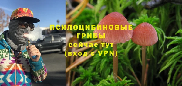 ALPHA-PVP Алексеевка