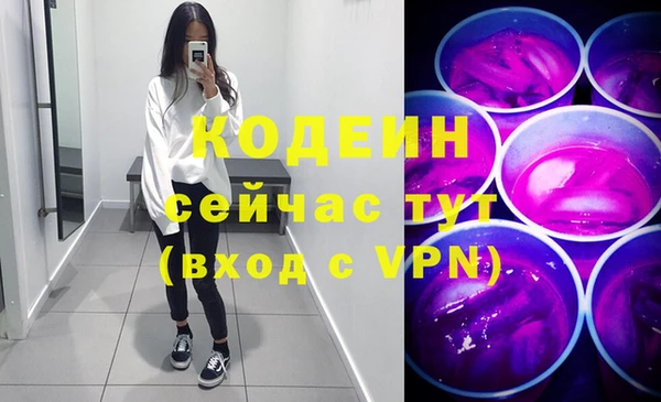 PSILOCYBIN Алзамай