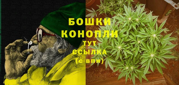 PSILOCYBIN Алзамай