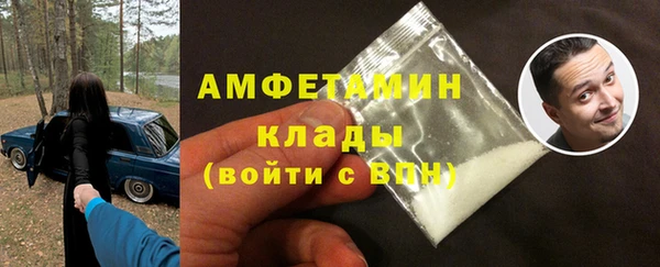 PSILOCYBIN Алзамай