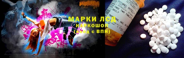PSILOCYBIN Алзамай
