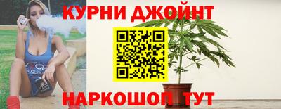 стаф Вязьма