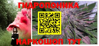 ГАЛЛЮЦИНОГЕННЫЕ ГРИБЫ Вязники