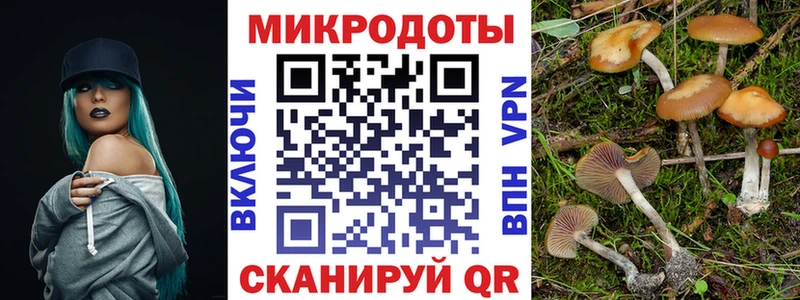 Псилоцибиновые грибы мицелий  mega ссылки  Петровск 