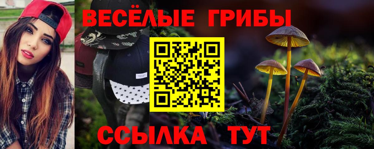 Галлюциногенные грибы мицелий  Вход с VPN  Петровск  Псилоцибиновые грибы мицелий 