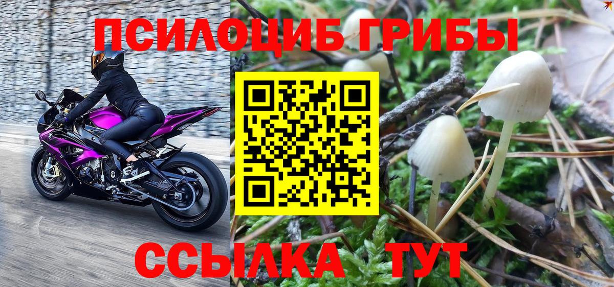 Галлюциногенные грибы ЛСД Петровск