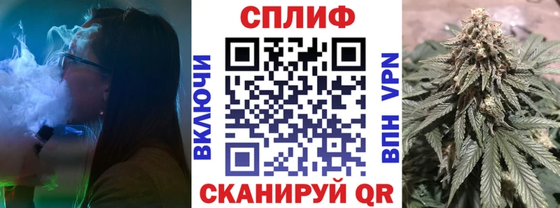 Конопля сатива  мега ТОР  Петровск 